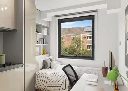 Bronze Studio Standard View Mid Level - Photo 5