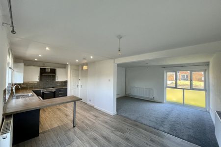 Pine Close - Photo 5