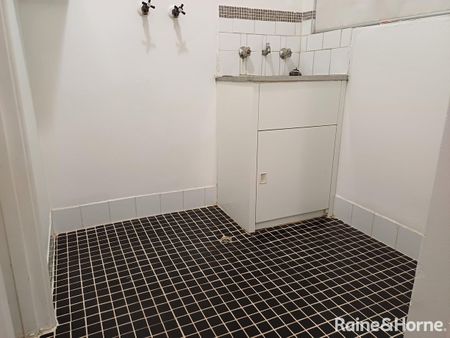 3 x 1 plus Study in SWAN VIEW - Photo 5