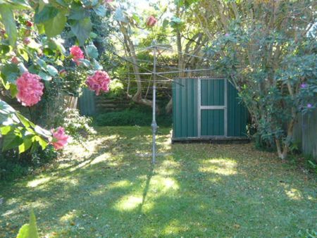 11 Wood Street, Chatswood NSW 2067 - House For Rent | Domain - Photo 5