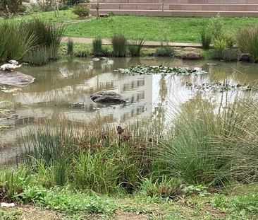 Apartamento T1 em Lisboa - Photo 6