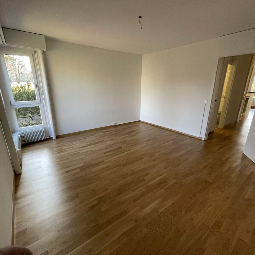 2.5-Zimmerwohnung mit unverbaubarer Aussicht - Photo 1
