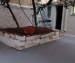 Μονοκατοικία για ενοικίαση - Κορυδαλλός, - Photo 5