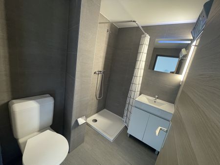 Lumineux studio à deux pas de la gare - Photo 5