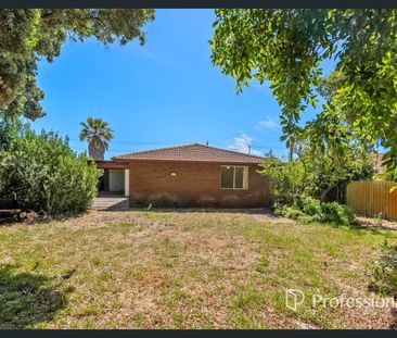 Charming 3 X 1 Family Home on a Generous Block - Photo 3