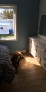 Maison bord de la mer Gaspésie qui inclus deux logements! - Photo 3