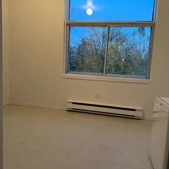 A very small studio near Metro Papineau - Photo 1