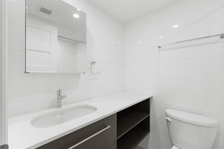 Condo for rent, Montréal (Le Plateau-Mont-Royal) - Photo 2