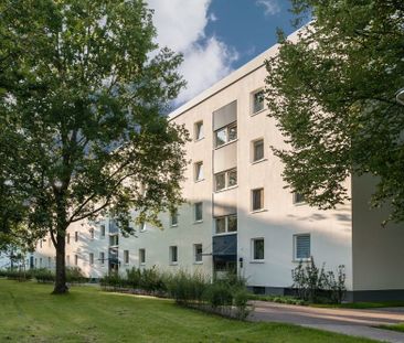 Ihr neues Zuhause in Detmerode – hell und gut gelegen - Photo 4