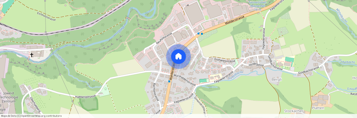 8630, Rüti, Frohwiesstrasse, 8