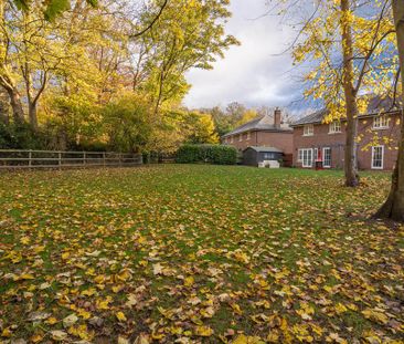 4 bedroom detached house to rent - Photo 6