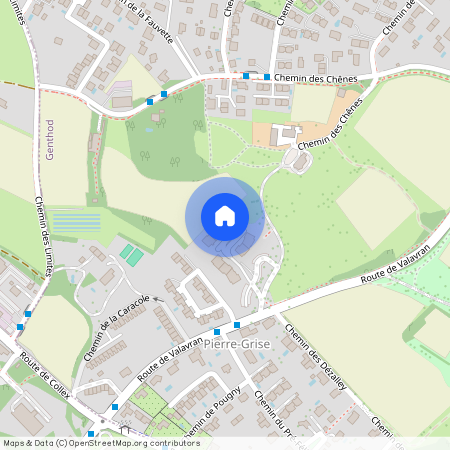 Chemin de la Dîme 11, 1294 - Genthod, Suisse