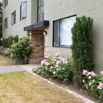 2 Bed/1 Bath Large Updated Suite in Kerrisdale - 1 cat ok - Photo 3