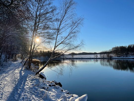 Lupinvägen, Sjuntorp - Foto 1