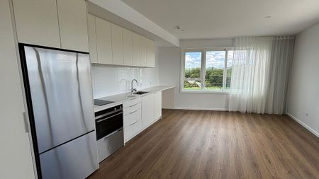 Brand new apartment with beautiful view of park - Photo 4