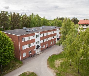 Ankarskatavägen 91 B, 94134, Piteå - Foto 1