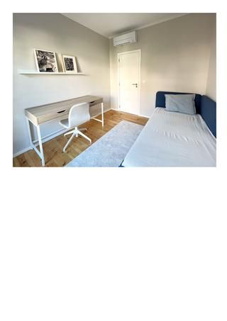 Apartamento T3 - Photo 5