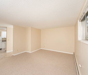 Avlyn Apartments - Photo 2