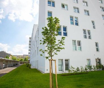 NUR NOCH 3 Apartments frei !!! Der clevere Wohntraum für Studenten ... - Photo 1