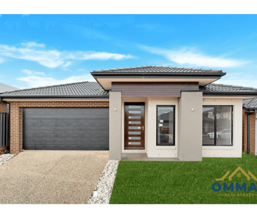 Modern Family Living in a Prime Location - Photo 2