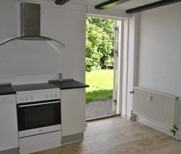 Mageløs - Photo 3