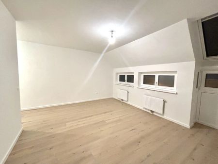 1190! Generalsanierte 2-Zimmer Wohnung mit neuer Küche ab Dezember 24! - Photo 3