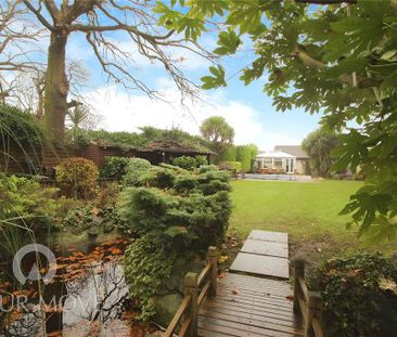 1 bedroom property to rent - Photo 3