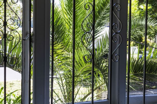 2/2A Strickland Street, Rose Bay NSW 2029 - Apartment For Rent | Domain - Photo 1