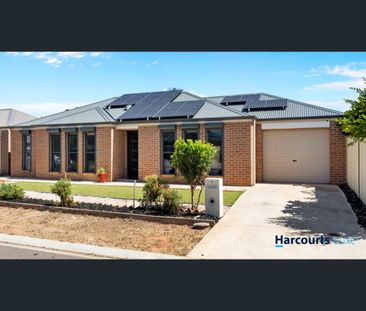 Low-Maintenance Family Living with Solar Power & Undercover Enterta... - Photo 6