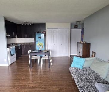 3 1/2 - Gatineau (Aylmer) - 1 595 $/mois - Photo 1