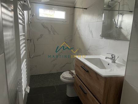 Maison T3 meublée avec jardin MAS D'AGENAIS - Photo 4