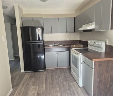 Newly Renovated 2 Large Bedroom Suites!!! - Photo 6