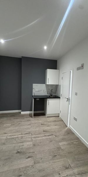 Studio Flat, Garth Road, NW2 - Photo 2