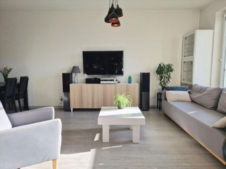 Ptasia, Łódź - Zdjęcie 3