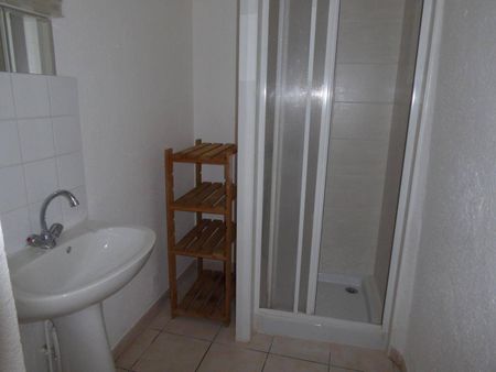 Location appartement 1 pièce 29.3 m² à Aubenas (07200) - Photo 5