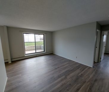 Dog Friendly Apartment! - Photo 2