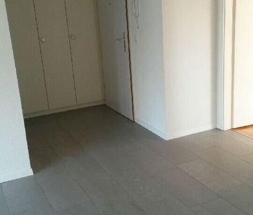 Charmant grand 2.5 pièces dans un quartier tranquille - Foto 4