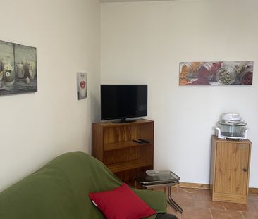 Location Appartement 2 pièces 31m² LE FOUSSERET 31430 - Photo 5