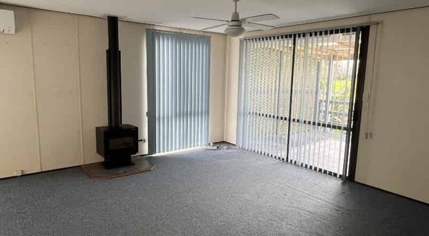 A Hidden Treasure - Photo 1