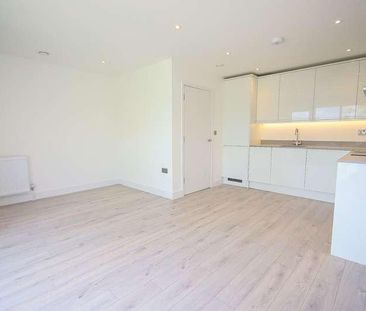 Monaco House, Vanwall Road, Maidenhead, SL6 - Photo 4