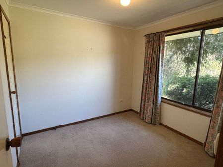 Charming 3 Bedroom Country Home - Photo 5