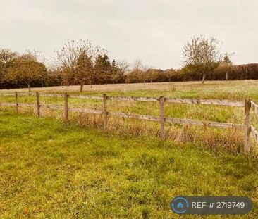 2 bedroom bungalow to rent - Photo 2