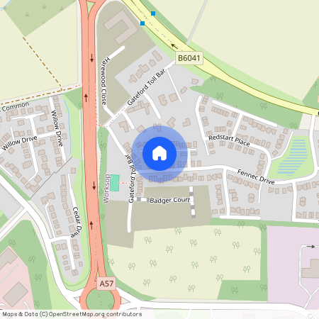 Pheasant Close, Worksop S81