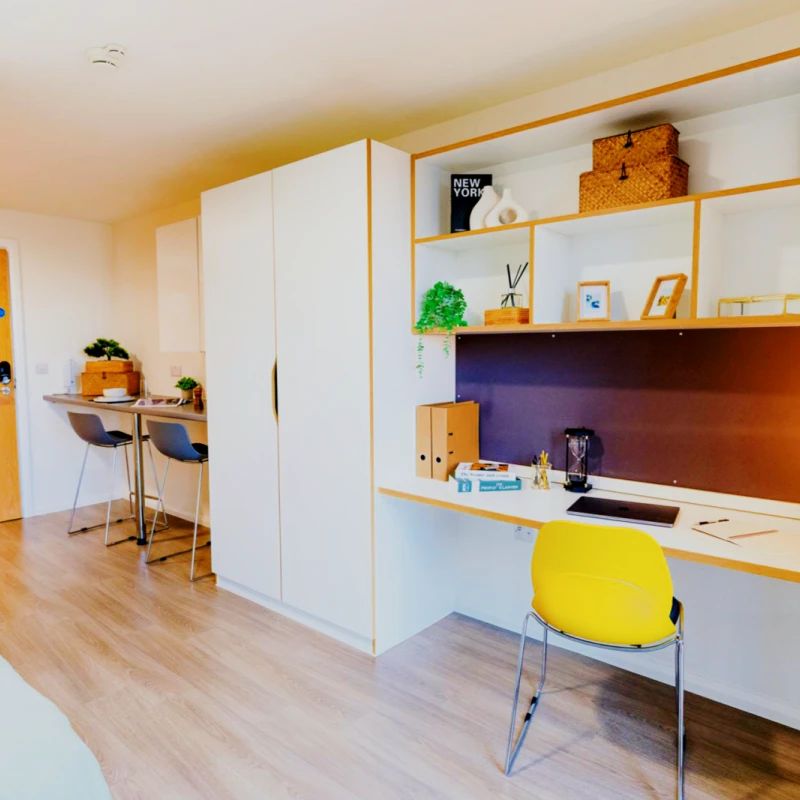 Gold Plus Studio (City View) - Photo 1