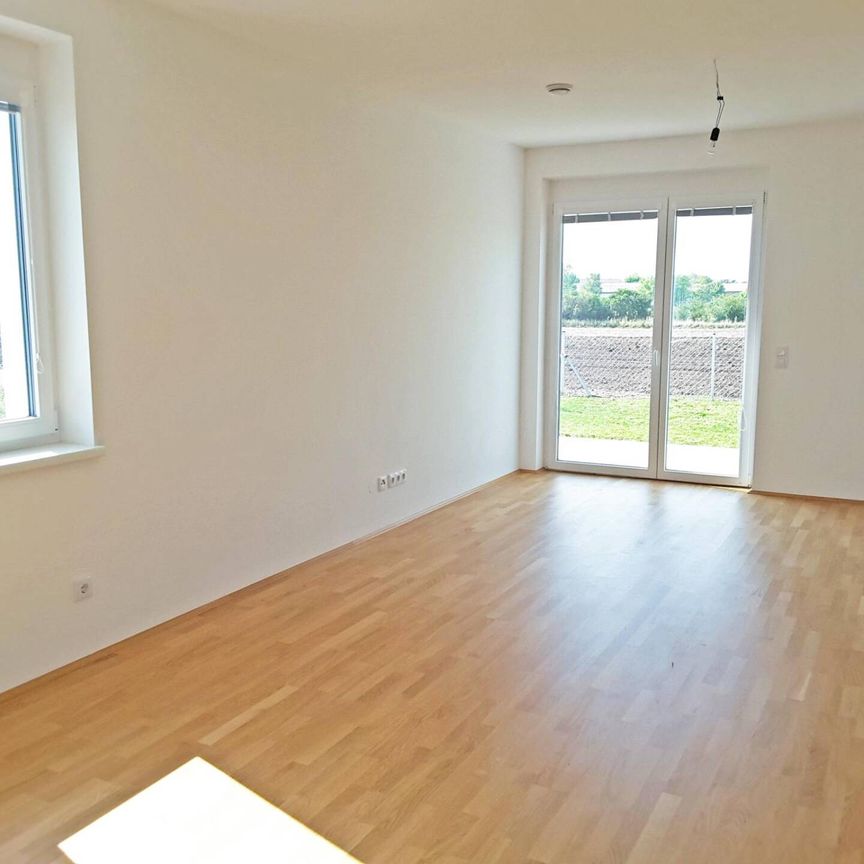 Reihenhaus im Grünen - Photo 1