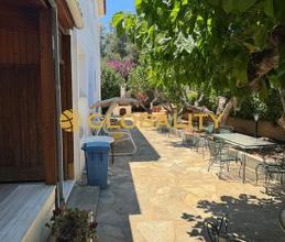 Μονοκατοικία για ενοικίαση - Μαρκόπουλο, - Φωτογραφία 2