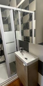 Location Appartement 1 pièce 30m² MANSLE 16230 - Photo 4
