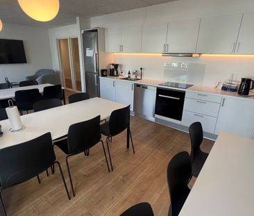 NYTORV 2, st. 2. 6000 KOLDING – LEJLIGHED I SENIORBOFÆLLESSKAB MED FÆLLESHUS - Photo 5