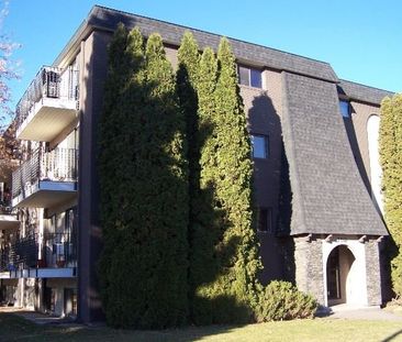 1 BDRM/1 BATH - 2318 ARLINGTON AVE - Available April 1st - Photo 4