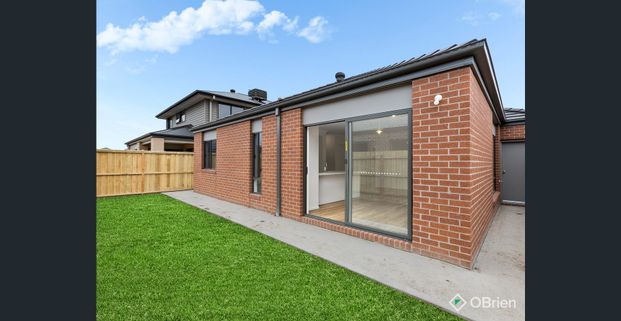 Stylish & Modern Family Home in Armstrong Creek - Photo 1